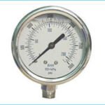 Pressure gauge ss body ss internal
